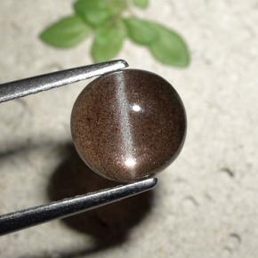 1.80カラットの天然ブラウンCat's Eye Scapolite（7.84 mm・ラウンドカット）