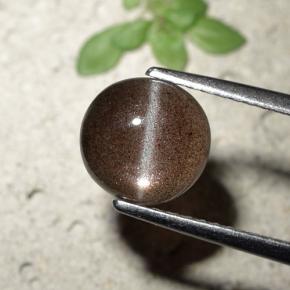 1.80カラットの天然ブラウンCat's Eye Scapolite（7.84 mm・ラウンドカット）