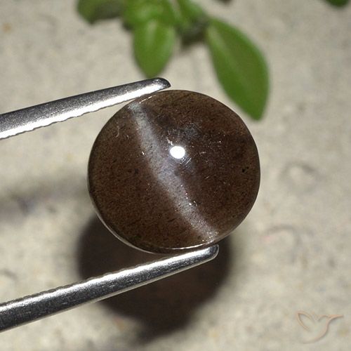 2.01カラットの天然チョコレートブラウンキャッツアイスキャポライト、ラウンドカット、半透明