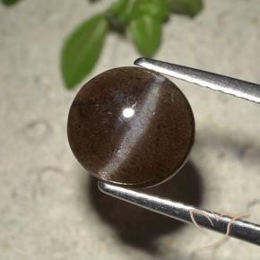 2.01カラットの天然チョコレートブラウンキャッツアイスキャポライト、ラウンドカット、半透明