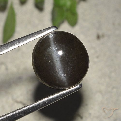 2.72カラットの天然黒Cat's Eye Scapolite（8.23 mm・ラウンドカット）