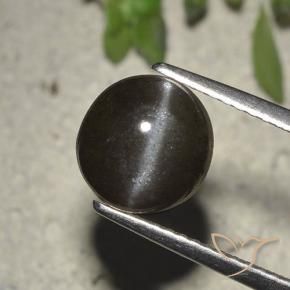 2.72カラットの天然黒Cat's Eye Scapolite（8.23 mm・ラウンドカット）