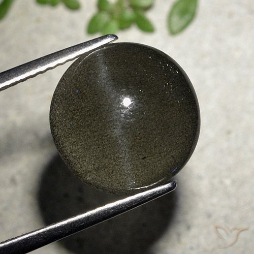 2.29ct 天然 ブラック キャッツアイスキャポライト, ラウンド