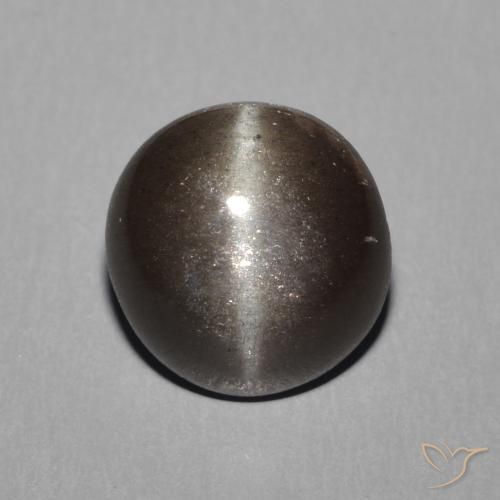 2.28ct 天然 ウォームブラック キャッツアイスキャポライト, ラウンド, 半透明