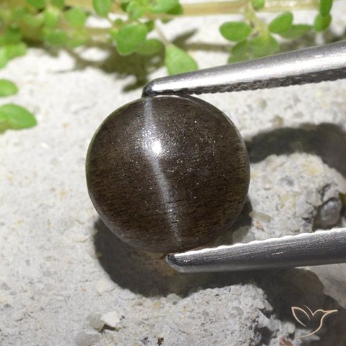 2.16ct 天然 ミディアム薄いブラウン キャッツアイスキャポライト, ラウンド, 半透明