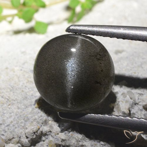 2.71ct 天然 ブラック キャッツアイスキャポライト, ラウンド, 半透明