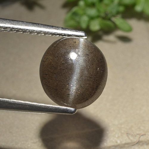 2.54ct 天然 アンバーブラウン キャッツアイスキャポライト, 楕円形, 半透明