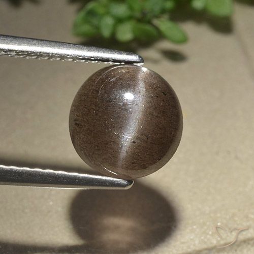 2.28ct 天然 ミディアムブラウン キャッツアイスキャポライト, ラウンド, 半透明