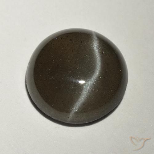 2.34ct 天然 ブラック キャッツアイスキャポライト, ラウンド, 半透明