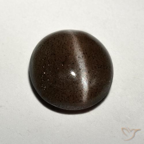1.50カラットの天然ミディアムブラウンCat's Eye Scapolite（7.71 mm・ラウンドカット）