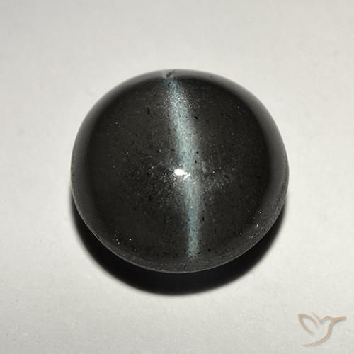 2.82ct 天然 ブラック キャッツアイスキャポライト, ラウンド, 半透明