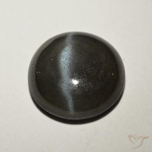 2.62ct 天然 ブラック キャッツアイスキャポライト, ラウンド, 半透明