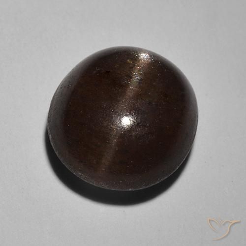 2.89ct 天然 ブラック キャッツアイスキャポライト, ラウンド, 半透明