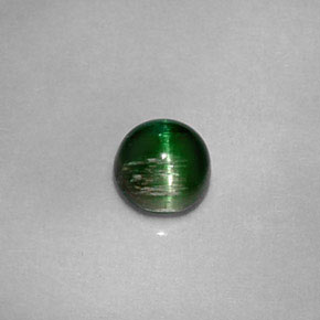 0.67カラットの天然ディープグリーンCat's Eye Tourmaline（4.96 mm・ラウンドカット）