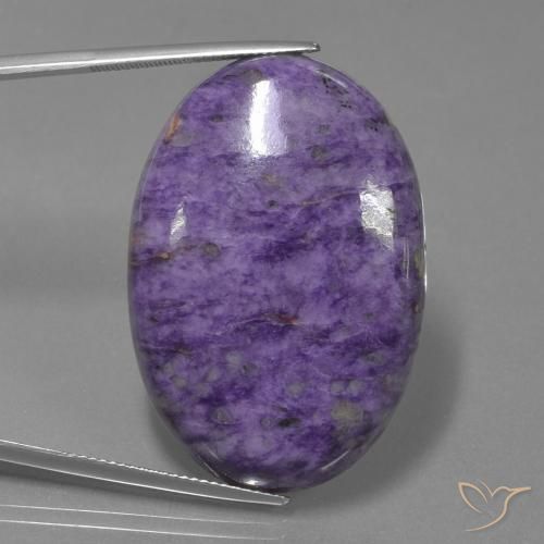 62.41ct 天然 ベルベットパープルバイオレット チャロアイト, 楕円形, オペーク