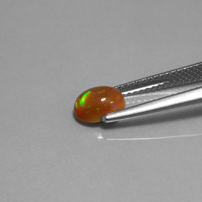0.63カラットの天然マルチカラーチョコレートオパール（7×5.1 mm・透明）