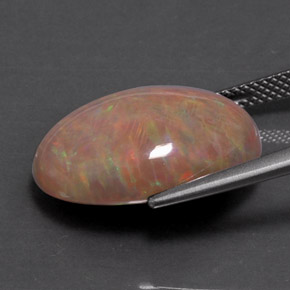 9.78カラットの天然マルチカラーチョコレートオパール、オーバルカット、オペーク