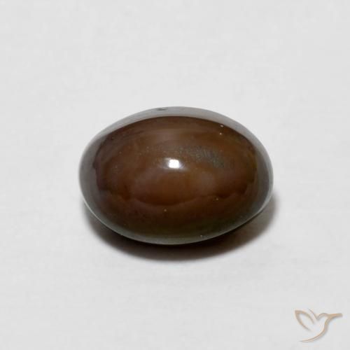 0.67ct 天然 ダークブラウン チョコレートオパール, 楕円形, オペーク