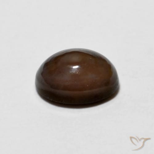 0.67カラットの天然ダークブラウンチョコレートオパール、楕円形、オペーク