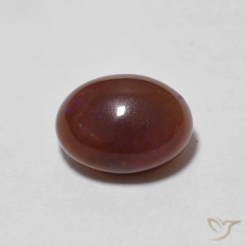 0.81ct 天然 マルチカラー チョコレートオパール, 楕円形, 半透明