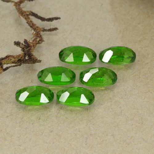 1.67カラットの天然ミディアムダークグリーンクロムダイオプサイド（5×3 mm・オーバルカット）