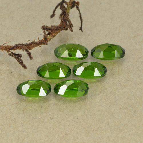 1.62カラットの天然Medium Dark-Greenクロムダイオプサイド（4.9×2.9 mm・オーバルカット）
