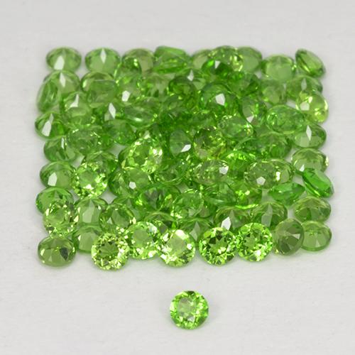 自然派の商品を探す 2.51ct ライブリーグリーン クロム透輝石 宝石, ラウンドカット, ロシア からGemSelectで. 在庫あり、世界各国へ発送!