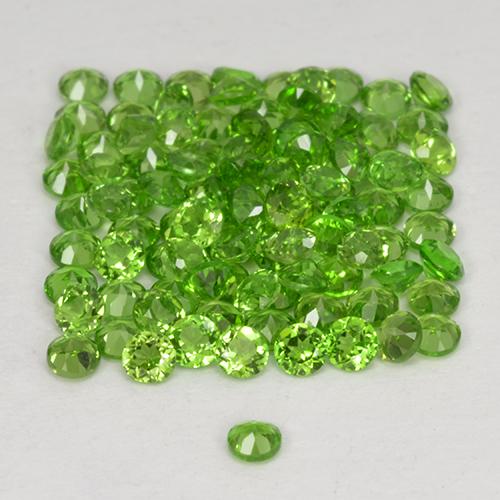 自然派の商品を探す 2.51ct ライブリーグリーン クロム透輝石 宝石, ラウンドカット, ロシア からGemSelectで. 在庫あり、世界各国へ発送!