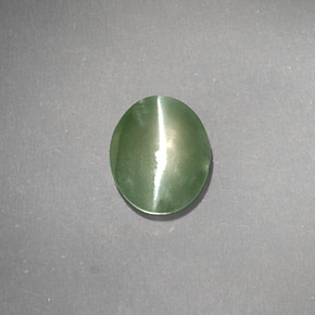 1.03カラットの天然グリーンChrysoberyl Cat's Eye（6.4×5.3 mm・透明）