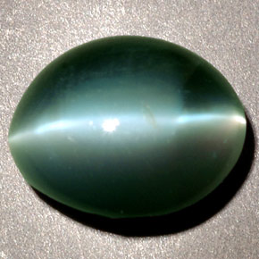 2.48カラットの天然グリーンChrysoberyl Cat's Eye（8.5×7.1 mm・オーバルカット）