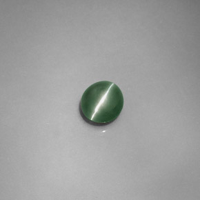 0.79カラットの天然グリーンChrysoberyl Cat's Eye（5.2×4.8 mm・オーバルカット）
