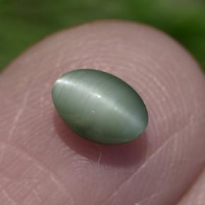 0.86カラットの天然グリーンChrysoberyl Cat's Eye（6×4.2 mm・オーバルカット）