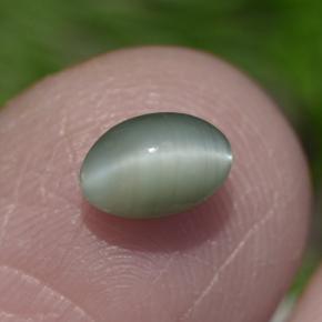 0.86カラットの天然グリーンChrysoberyl Cat's Eye（6×4.2 mm・オーバルカット）