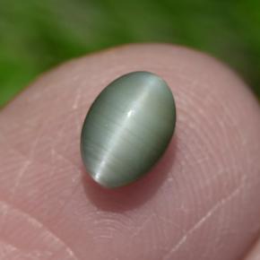 0.86カラットの天然グリーンChrysoberyl Cat's Eye（6×4.2 mm・オーバルカット）
