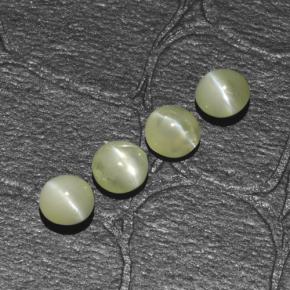 1.54カラットの天然ゴールデングリーンChrysoberyl Cat's Eye（4.06 mm・ラウンドカット）