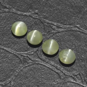 1.66カラットの天然ゴールデングリーンChrysoberyl Cat's Eye（4.00 mm・ラウンドカット）