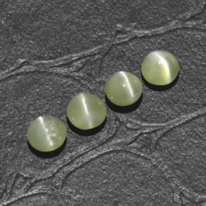 1.66カラットの天然ゴールデングリーンChrysoberyl Cat's Eye（4.00 mm・ラウンドカット）