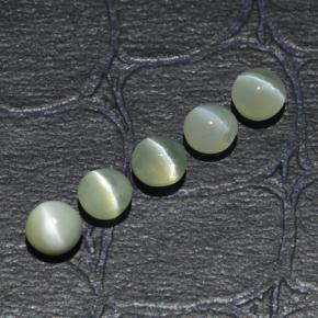 2.53カラットの天然ゴールデングリーンChrysoberyl Cat's Eye（4.04 mm・ラウンドカット）