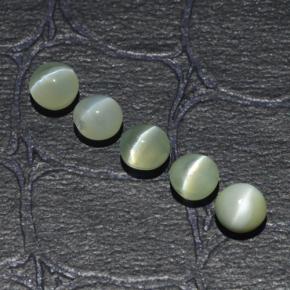 2.53カラットの天然ゴールデングリーンChrysoberyl Cat's Eye（4.04 mm・ラウンドカット）