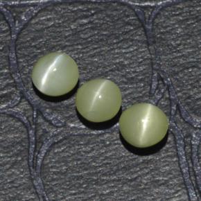 1.15カラットの天然黄色がかった緑Chrysoberyl Cat's Eye（3.95 mm・ラウンドカット）