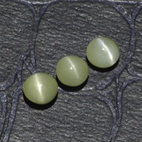 1.15カラットの天然黄色がかった緑Chrysoberyl Cat's Eye（3.95 mm・ラウンドカット）