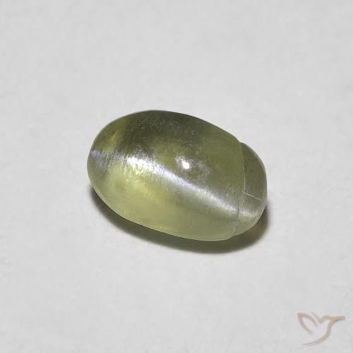 0.55カラットの天然Medium Dark-Greenリソベリルキャッツアイ、楕円形、半透明