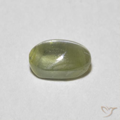 0.55カラットの天然Medium Dark-Greenリソベリルキャッツアイ、楕円形、半透明