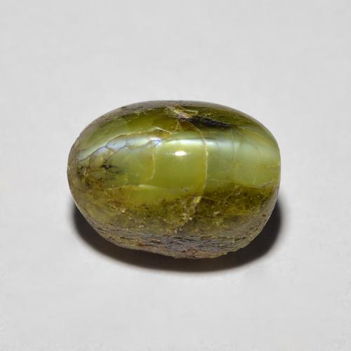 3.69カラットの天然ディープグリーンChrysoberyl Cat's Eye（8.7×6.3 mm・オーバルカット）