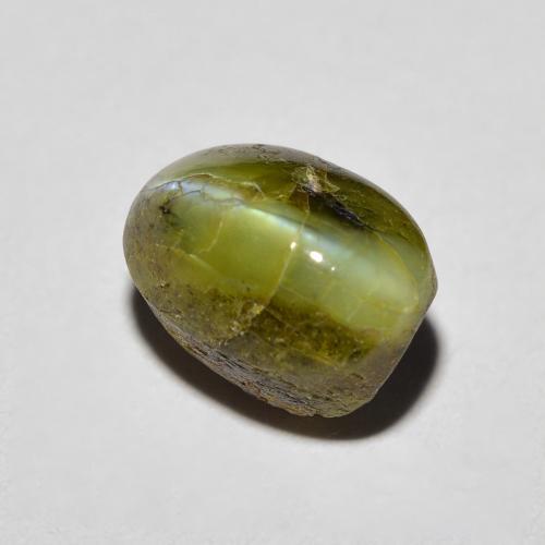 3.69カラットの天然ディープグリーンChrysoberyl Cat's Eye（8.7×6.3 mm・オーバルカット）