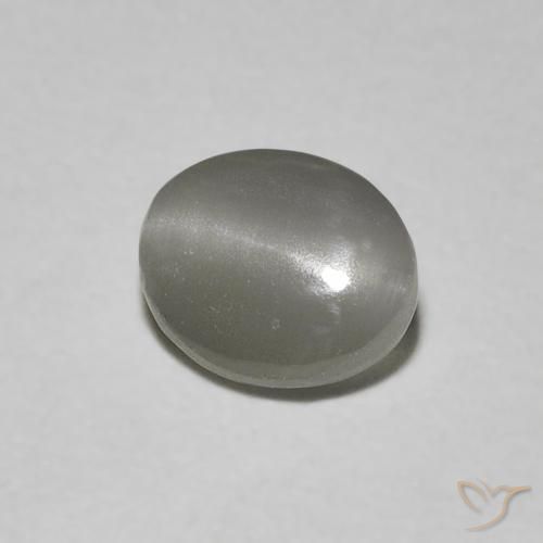 0.66カラットの天然非常に薄い灰色リソベリルキャッツアイ、楕円形、半透明