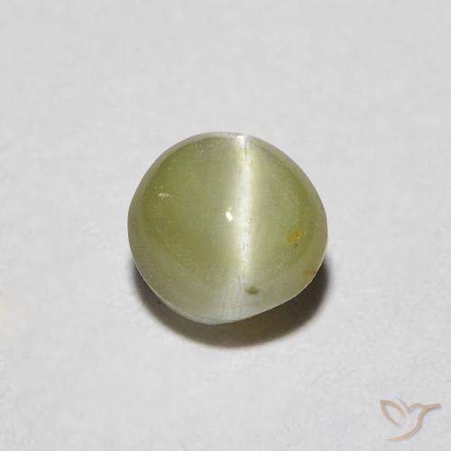 0.48ct 天然 ウォームフォレストグリーン リソベリルキャッツアイ, 楕円形, 半透明