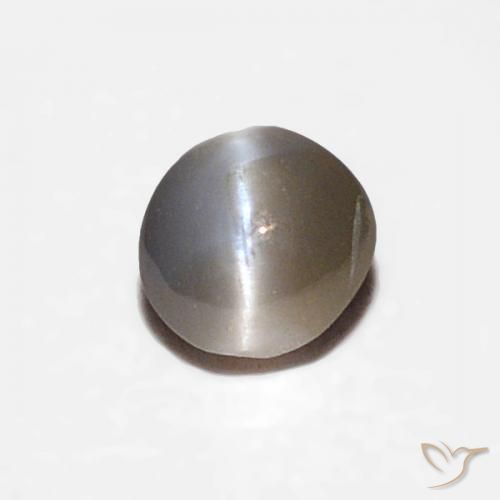 0.16ct 天然 灰色がかった黒 リソベリルキャッツアイ, 楕円形, オペーク