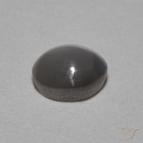 0.53カラットの天然Medium Dark-Greyリソベリルキャッツアイ、楕円形、オペーク