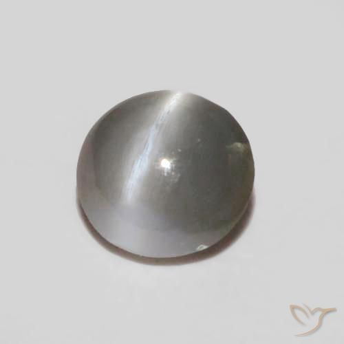 0.24ct 天然 ミディアムグレー リソベリルキャッツアイ, 楕円形, オペーク